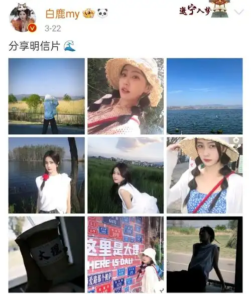 白鹿##白鹿曾舜晞 两条蛄蛹者