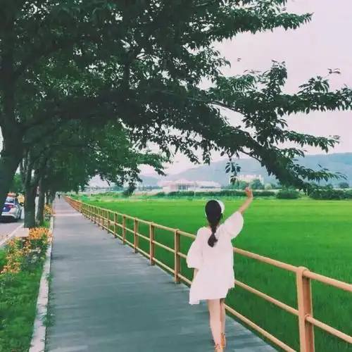 女生头像 背影 文艺 小清新 「by:倾城之光i」