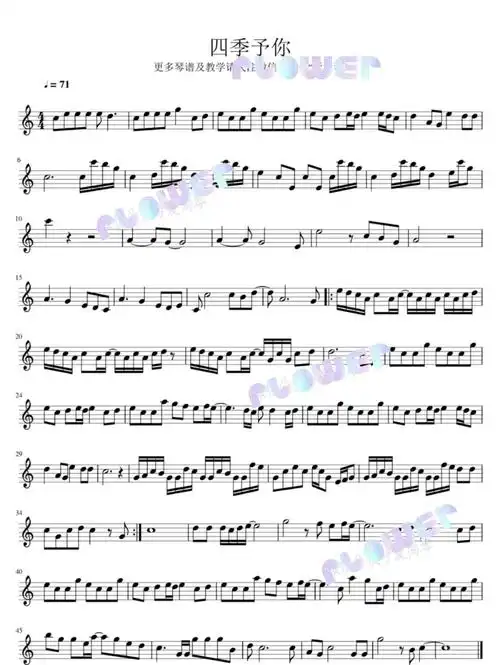 小提琴谱四季予你