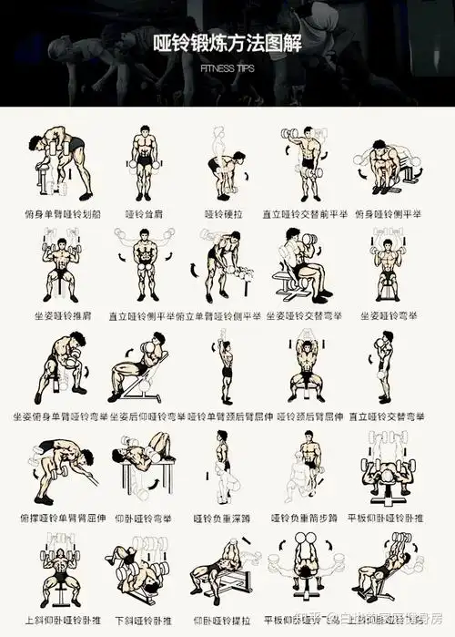万字健身减脂神器干货总结(附哑铃锻炼动作和方法)