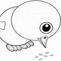 呼叫孵小鸡的地方简笔画