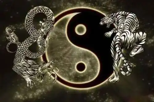 俗语龙抱虎出文武虎抱龙代代穷龙和虎指的是什么