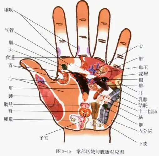 我左手掌偏左有一点黑点,不久就感冒,好了后,至今