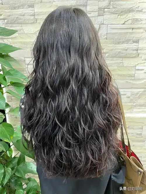 短发烫发图片小卷洋气(要想发型美) - 赤虎壹号