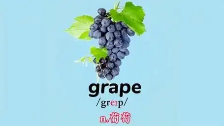 grape 葡萄——小初英语巧记单词 自然拼读快速背诵单词