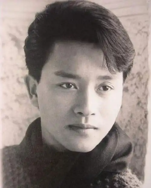 一生没做坏事为何结局这样为爱痴狂的张国荣