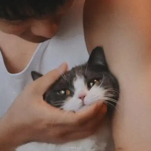 "只有肖战粉丝能看懂"的不明显头像系列2.0#肖战