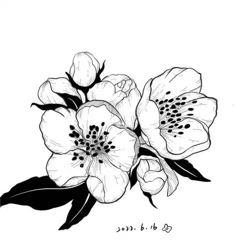 手绘| 临摹-樱花花束