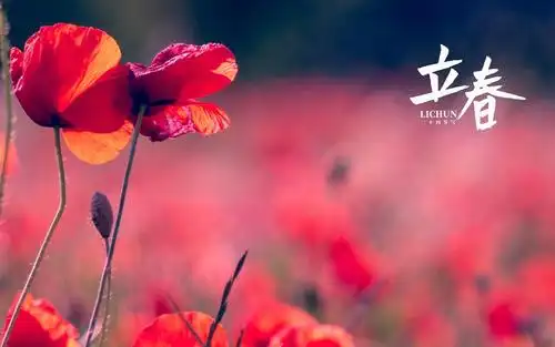 2021年二十四节气之立春