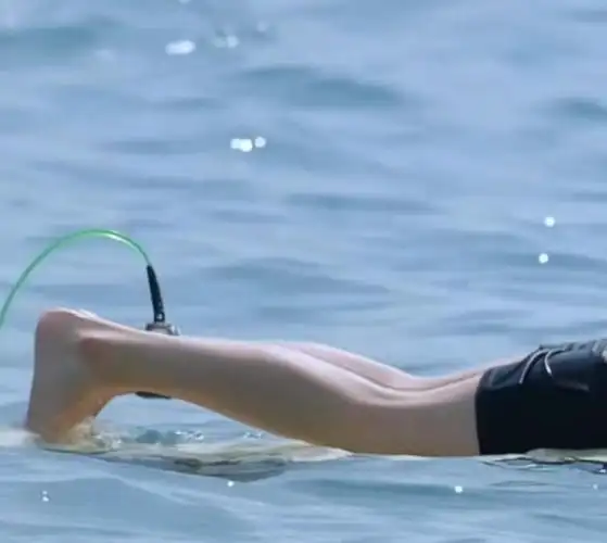 "盛开的从来都不是花 而是对你漫山遍野的喜欢" 5