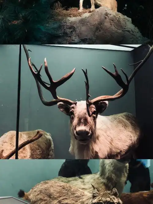 呼市假期打卡好去处787878