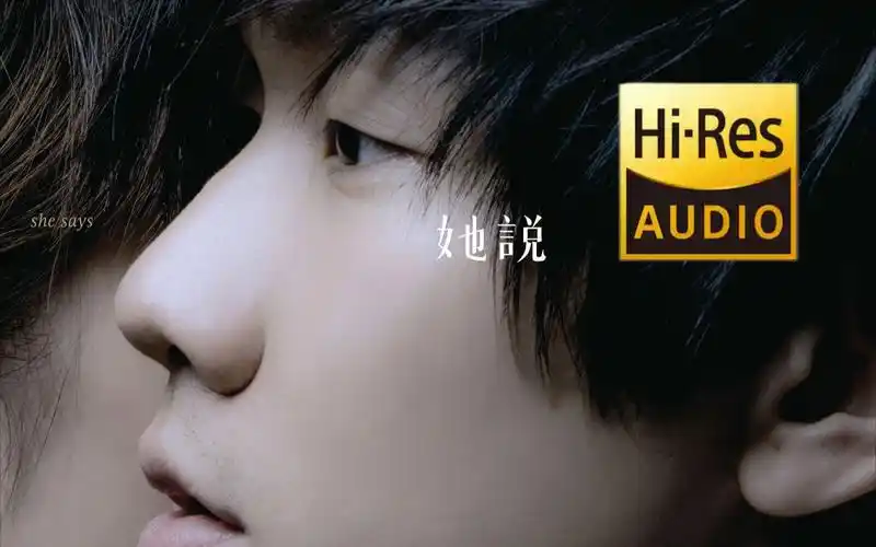 [颂の音乐盒] 林俊杰-她说 hi-res 96khz 24bit hifi音质