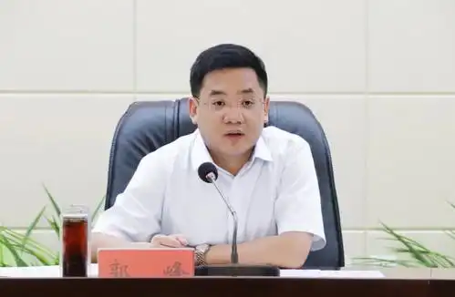 德兴市委书记郭峰主持召开市域综合医疗卫生体制改革工作推进会杨秀福