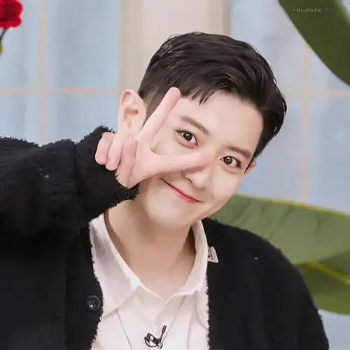 朴灿烈bazaar12月刊画报##朴灿烈bazaar12月刊最新画报