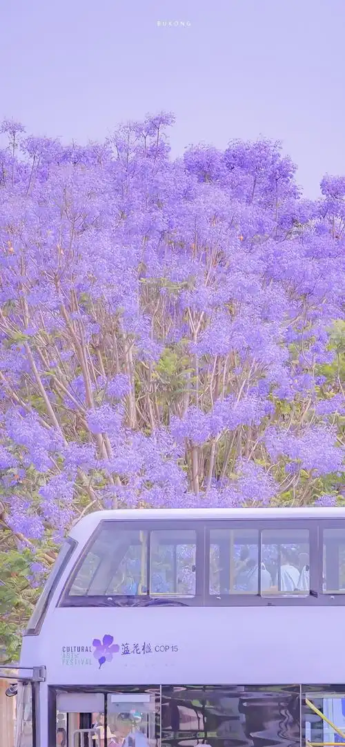 紫色高清风景图片手机壁纸