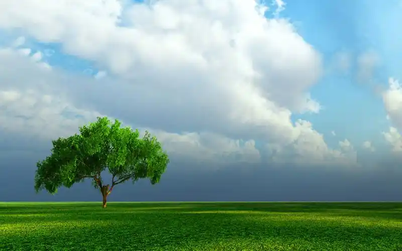 梦见鬼被我吓跑是什么意思