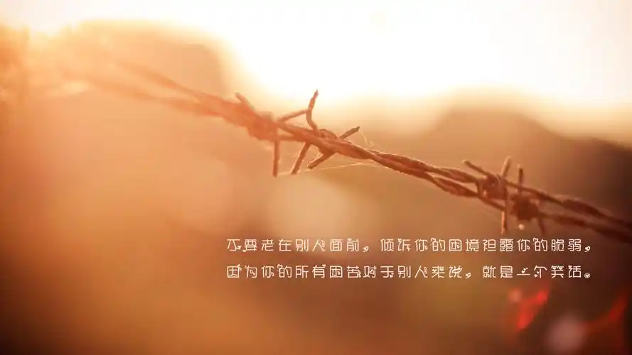 风景,治愈系,唯美意境,带字图片,说说,风景,治愈,唯美,清新,带字,文艺