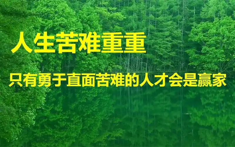 人生苦难重重,只有勇于直面苦难的人才会是赢家_哔哩哔哩_bilibili