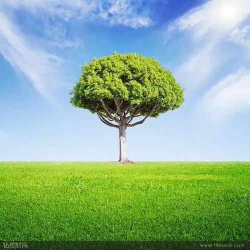 首页 高清图片 高清风景图片 关键词:蓝天白云大树草地绿色环保生态