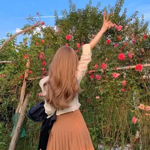 有收集背影的女人物头像或动漫头像吗