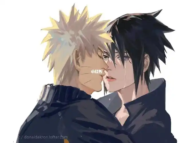 呜呜呜我的鸣人佐助啊