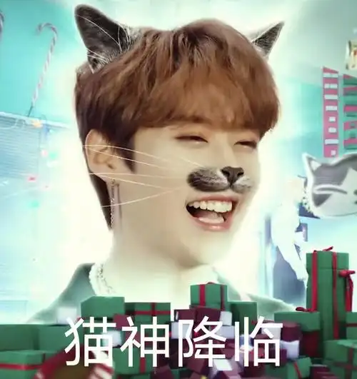 表情包走一波!#straykids