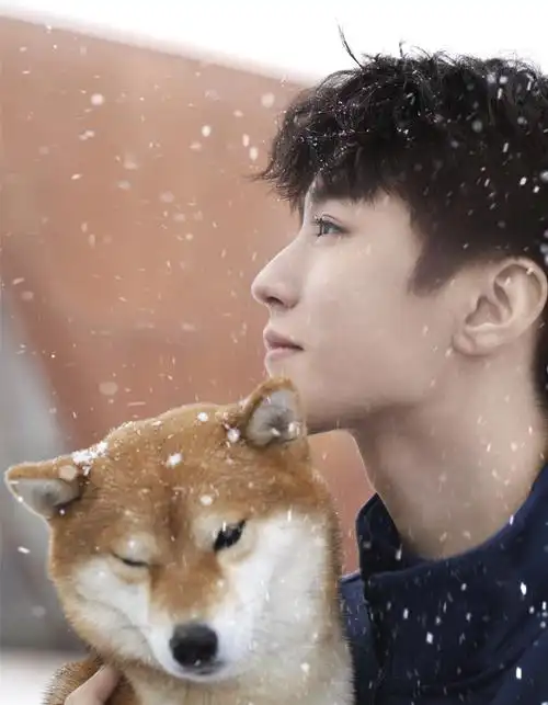 王俊凯冰雪大片释出 怀抱柴犬上演治愈系"笑容杀"