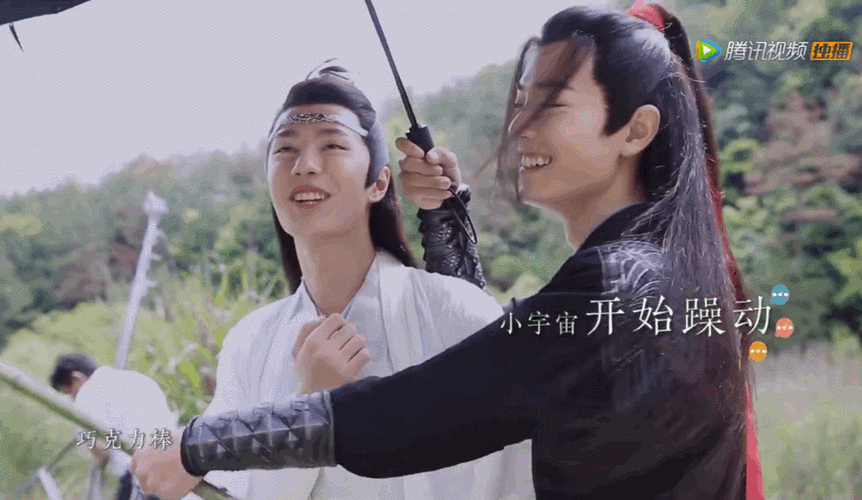 肖战王一博动图