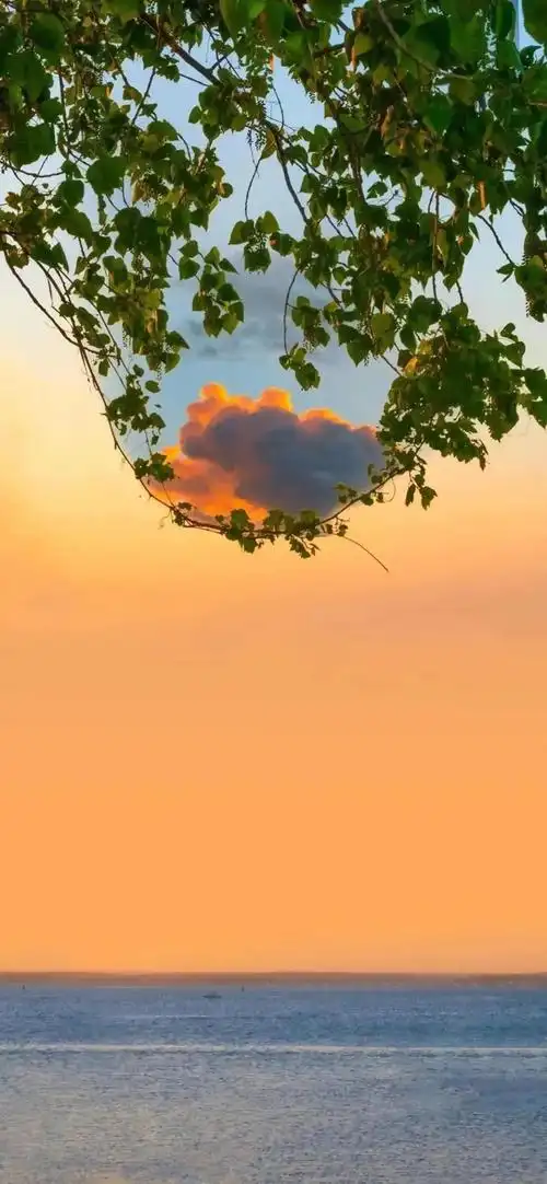 潮流壁纸精选20210312