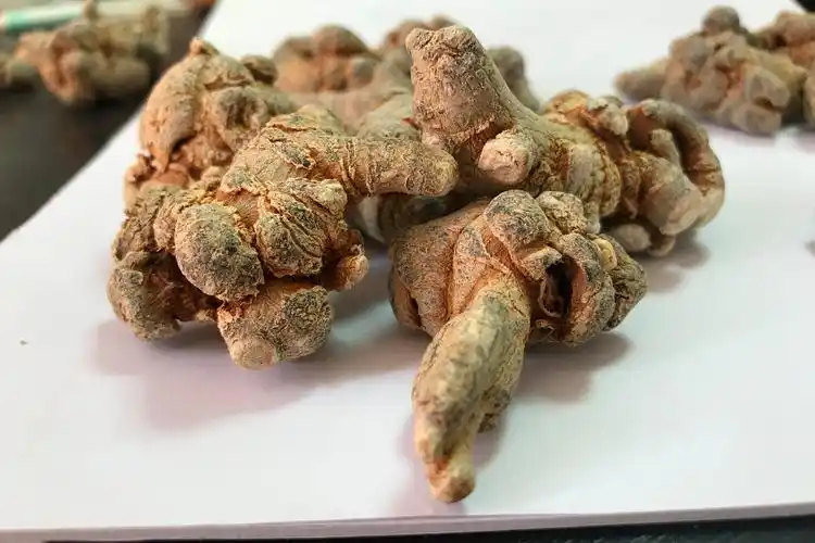 药草铺三七药草图集