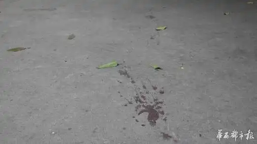 男子满身是血边跑边呼救后倒地身亡血迹长百米