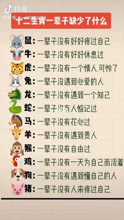05十二生肖一辈子缺少了什么?
