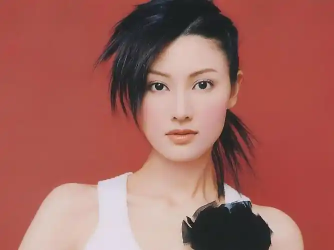 代表女明星:李嘉欣no.1 双子座最容易当小三的星座女盘点