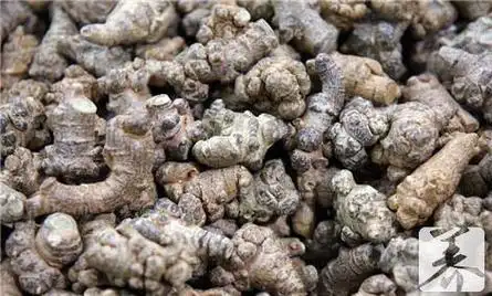 迈辰熙美食 - 美食大全