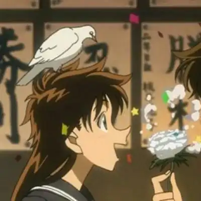 快斗和青子情头