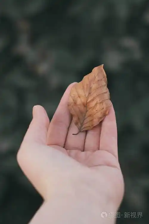 一个女人手里拿着菩提叶在模糊的绿色背景上作者彩色处理大气照片