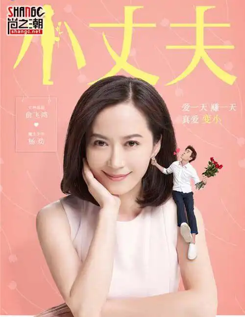 小丈夫女主角姚澜是谁演的 俞飞鸿个人资料演过的电视剧