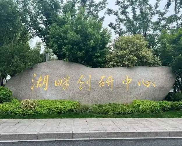 张雪峰谈福耀科技大学,发展隐患比较大|王树国|湖畔大学|西安交通大学