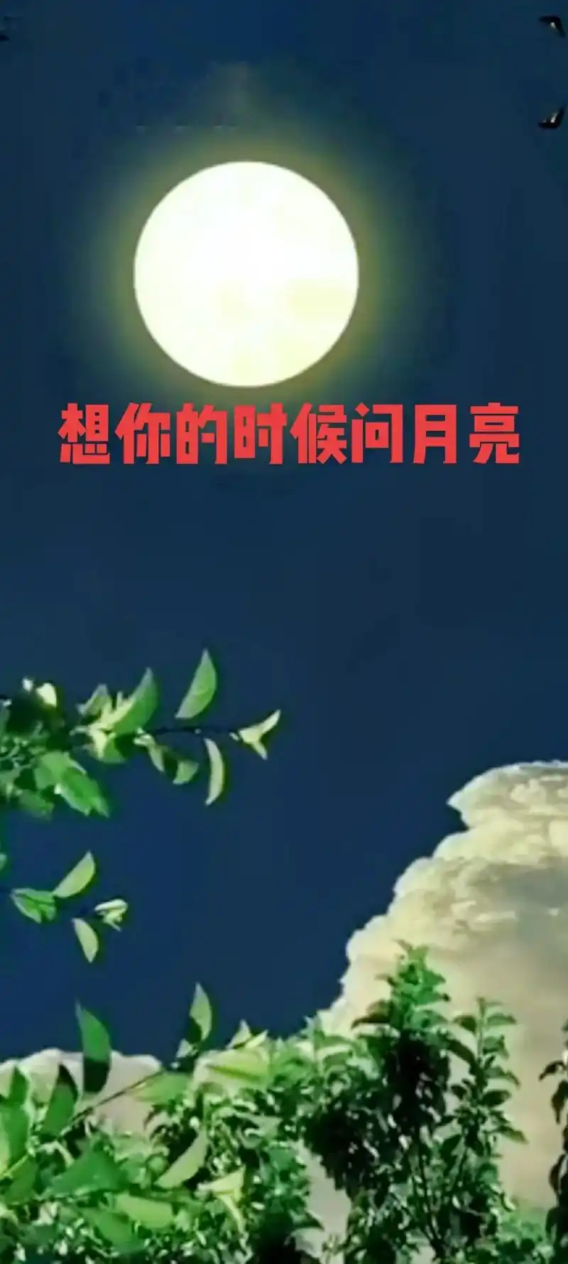 人世间,有一种爱,虽不曾携手,也深藏心底.#想你的时候问月亮 - 抖音