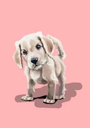 小动物手绘练习