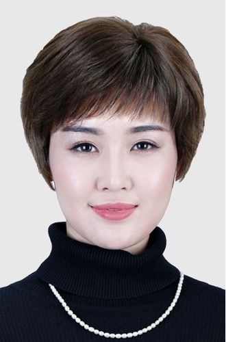 假发中老年妈妈中年女士黑色短直发老年人化疗包邮日常整顶假发