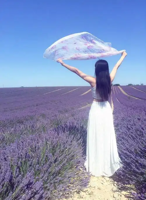 舞动在普罗旺斯的薰衣草花田,做一回十足的梦女孩
