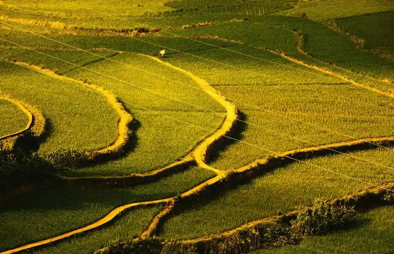 达州市通川区山水田园风光