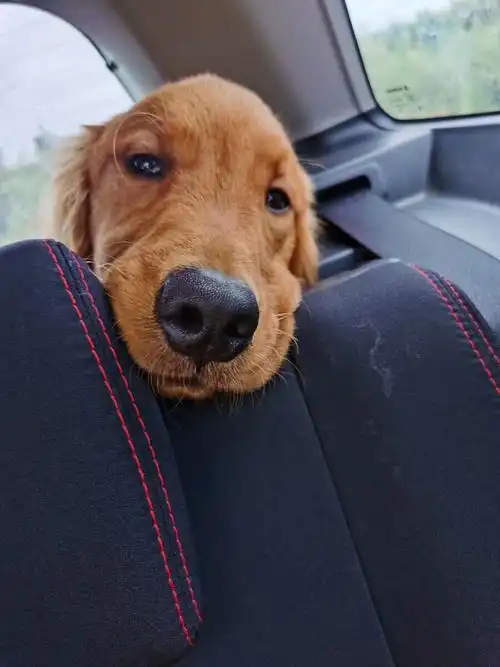 呆呆在发呆 - 唯美图片分享2021 - 图虫