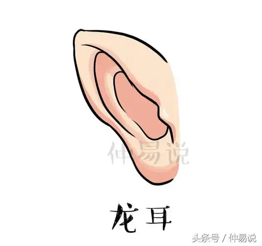 4种不同的耳朵形状看你一生的命好不好