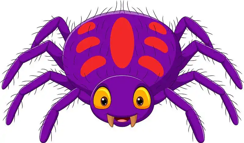 卡通的紫色蜘蛛在白色的背景图片