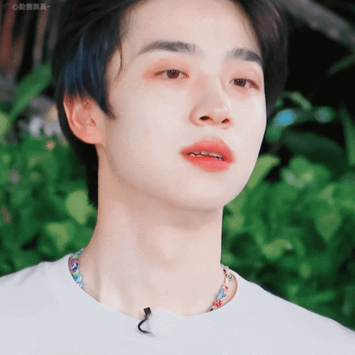 张嘉元的整肃给我进来