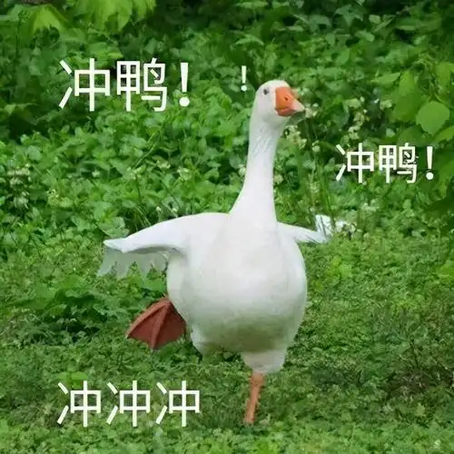 看了后少走多少弯路