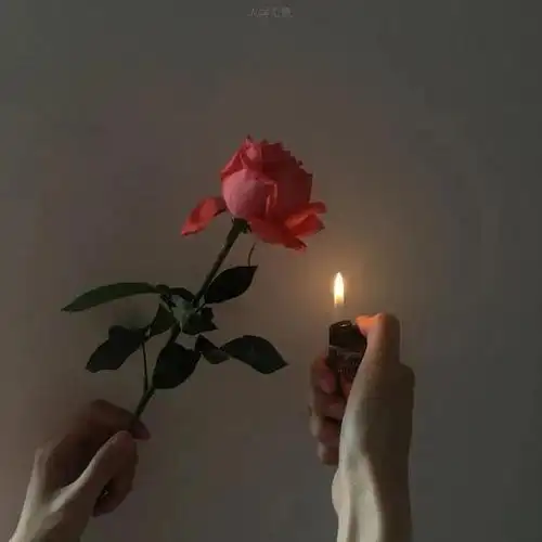 ins超火背景,ins超火背景图小熊(高级ins风背景图)