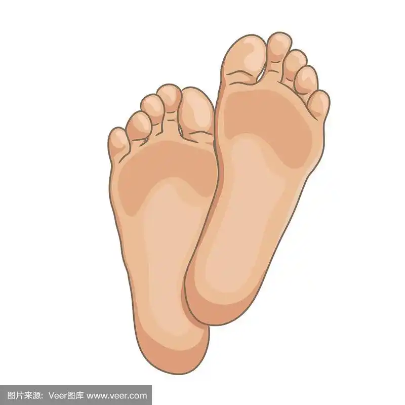 女性或男性脚底,赤脚,底部视图.矢量插图,手绘卡通风格孤立在白色.